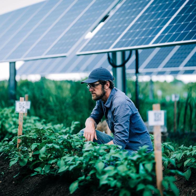 How Solar Power Saves Family Farms