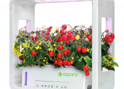 aspara: Try a Smart Way to Grow Your Garden